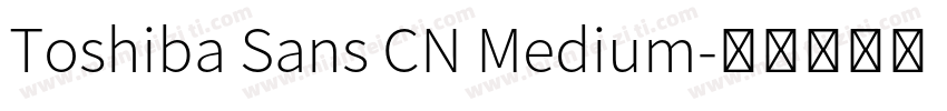 Toshiba Sans CN Medium字体转换